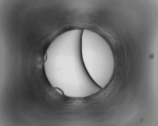 X0000102491204200808221722