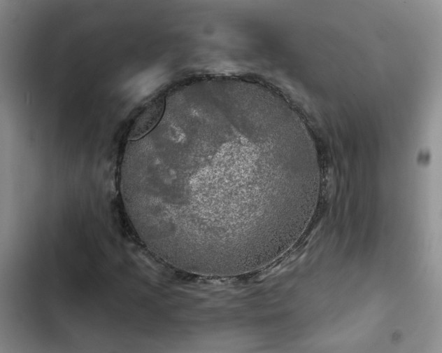 X0000102491205200808221722