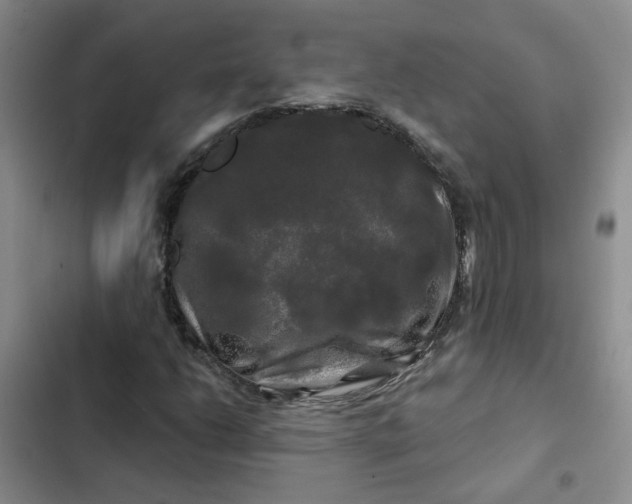 X0000102491206200808221722