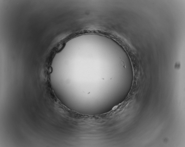 X0000102491207200808221722