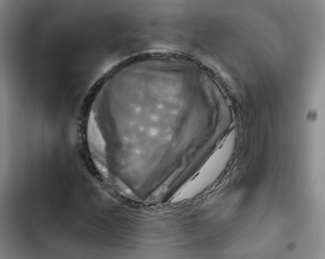 X0000102491208200808221722