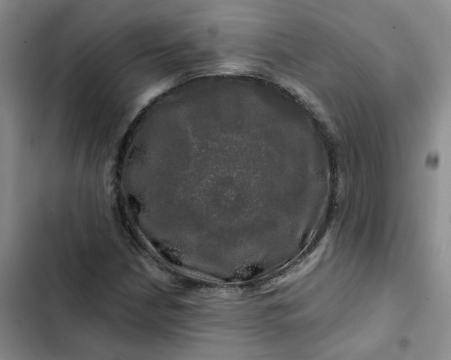 X0000102491210200808221723