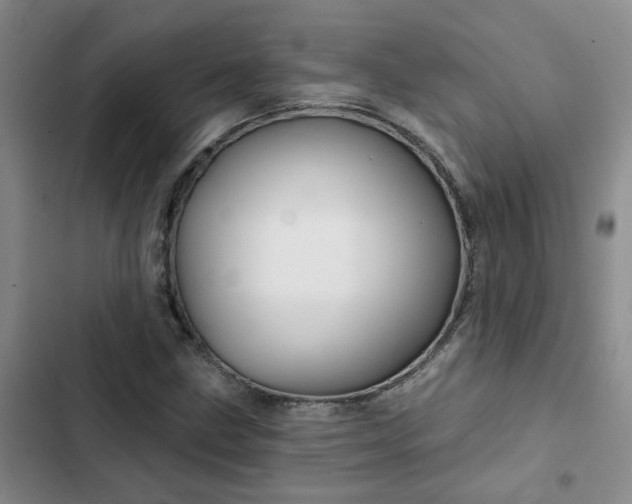 X0000102491211200808221723