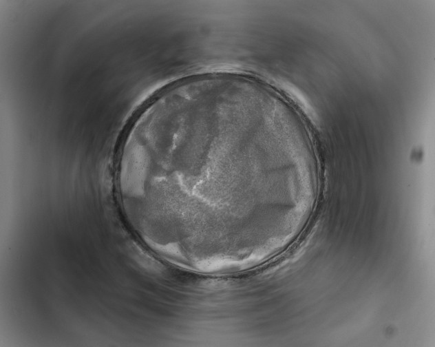 X0000102491212200808221723