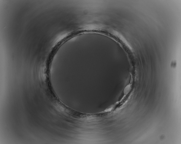 X0000102491213200808221723