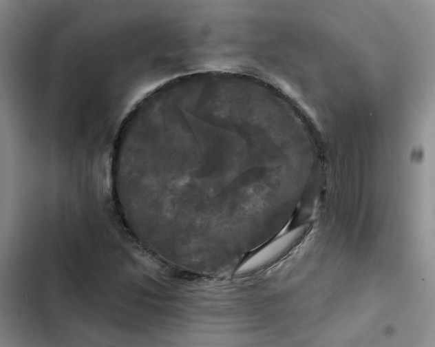 X0000102491214200808221723