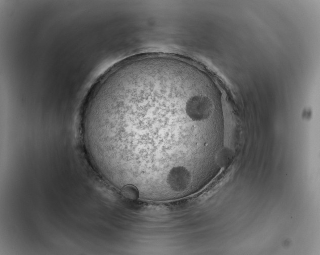 X0000102491215200808221723