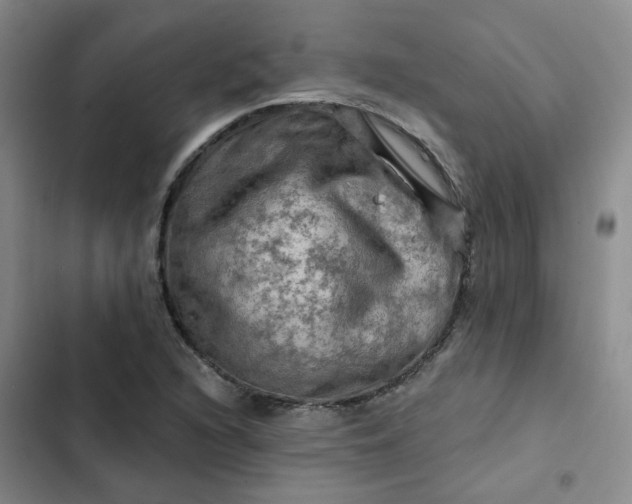 X0000102491216200808221723