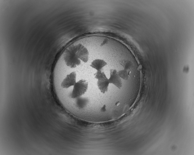 X0000102491217200808221723