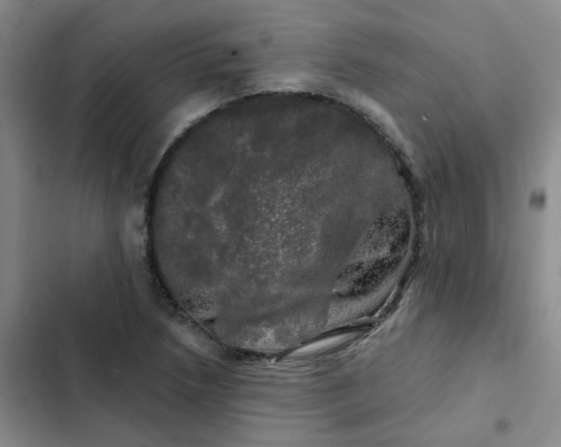 X0000102491218200808221723