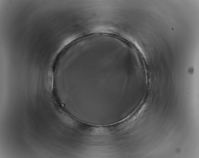 X0000102491219200808221723