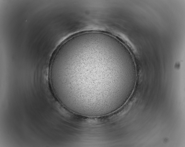 X0000102491220200808221723