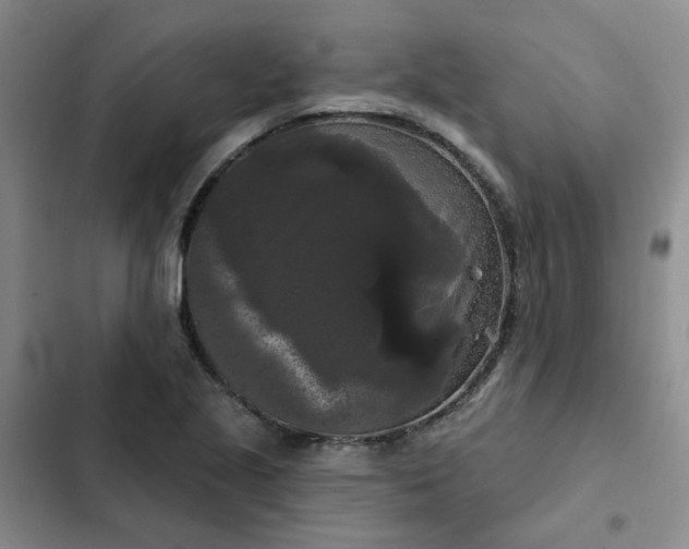 X0000102491221200808221723