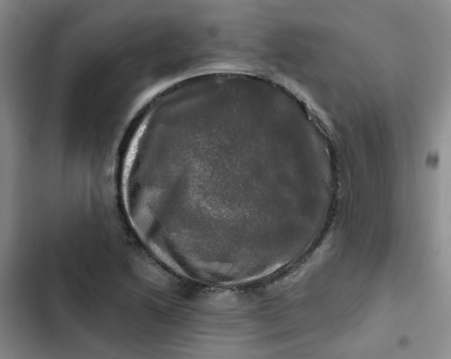 X0000102491222200808221723