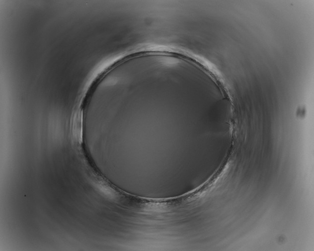 X0000102491223200808221723