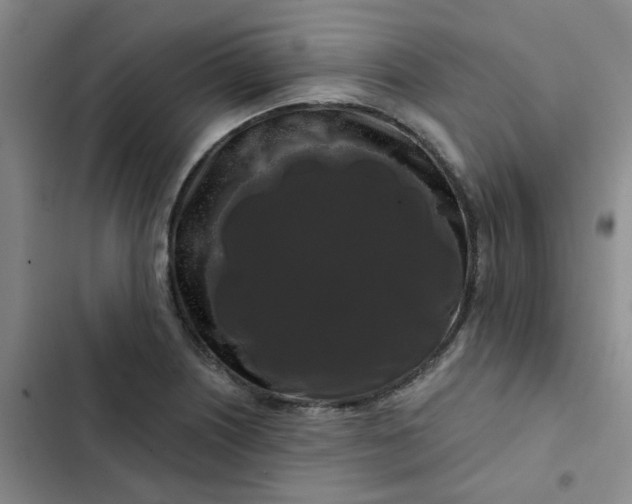 X0000102491226200808221723