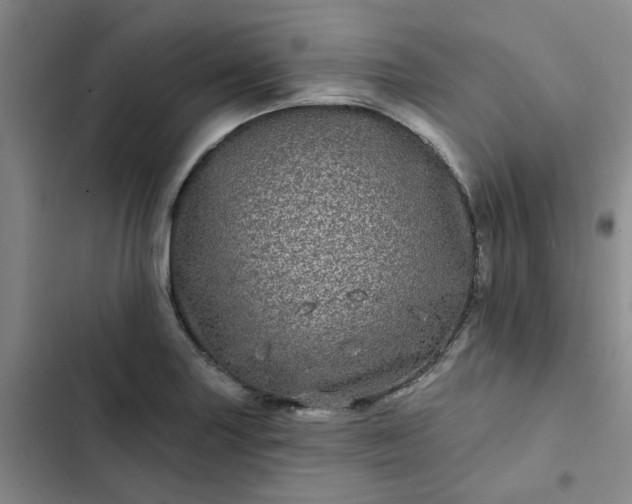 X0000102491227200808221723