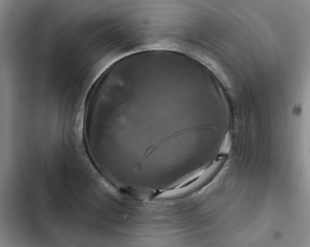 X0000102491228200808221723