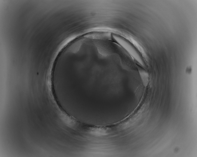 X0000102491229200808221723