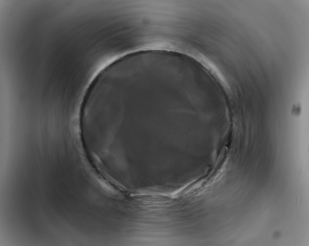 X0000102491230200808221723