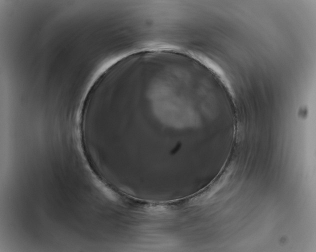 X0000102491231200808221723