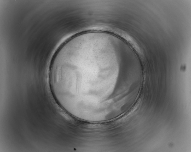 X0000102491232200808221723