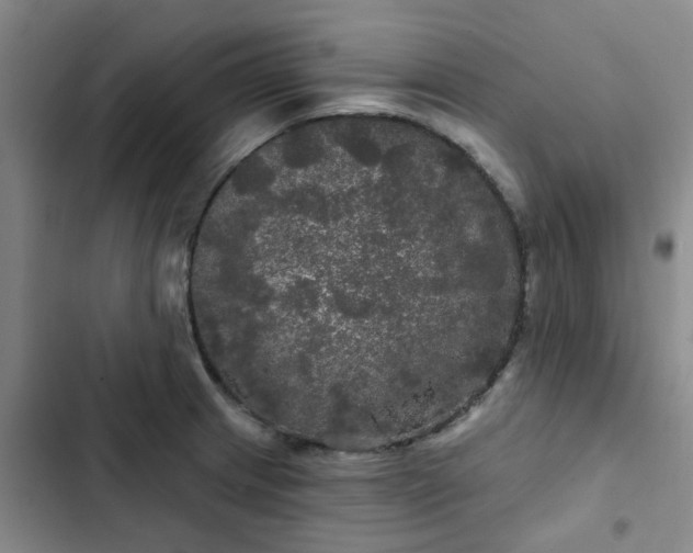 X0000102491233200808221723