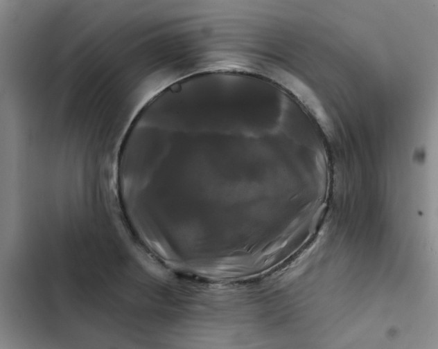 X0000102491234200808221723