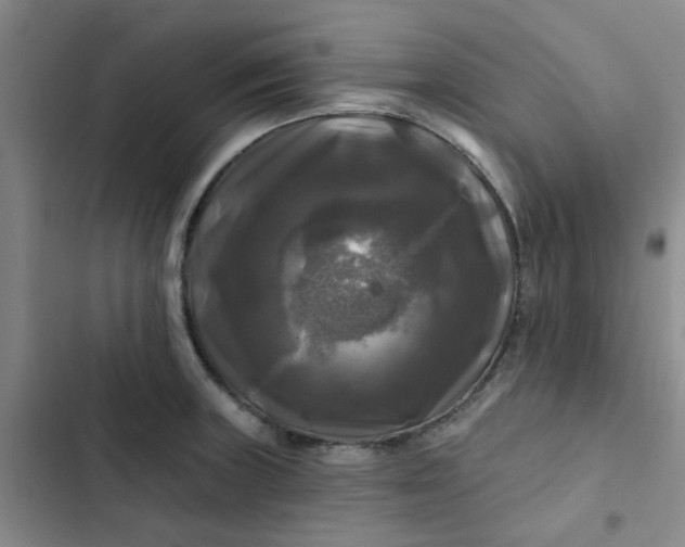 X0000102491235200808221723