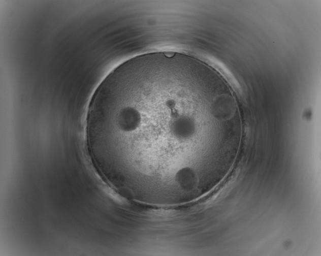 X0000102491236200808221723