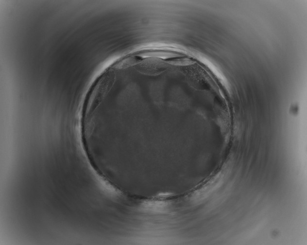 X0000102491237200808221723