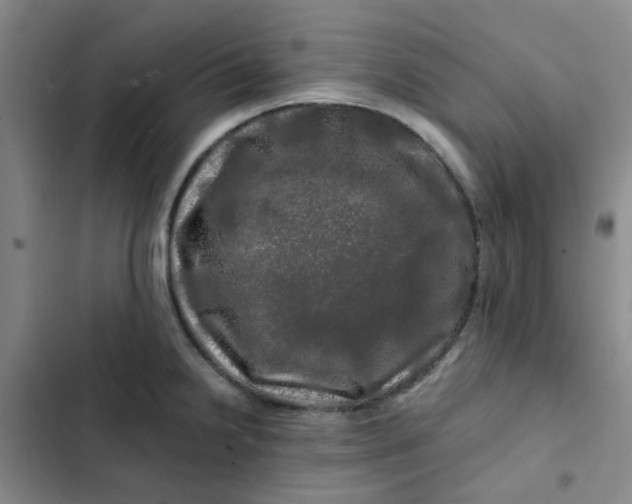 X0000102491238200808221723