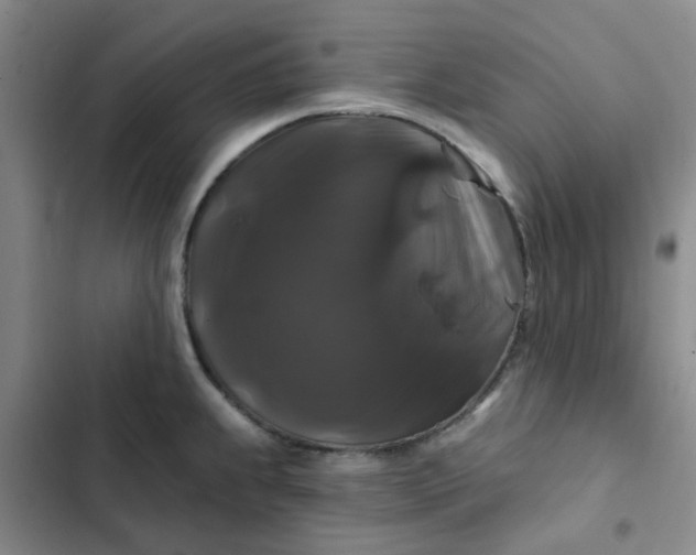 X0000102491239200808221723