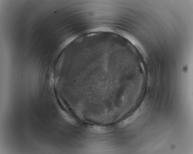 X0000102491241200808221723