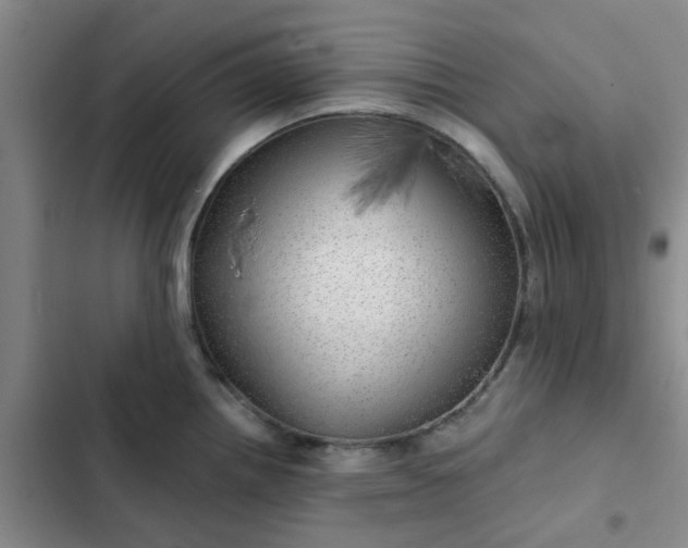 X0000102491242200808221723