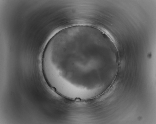 X0000102491243200808221723