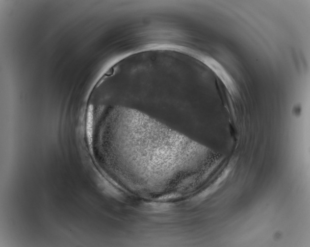 X0000102491244200808221723