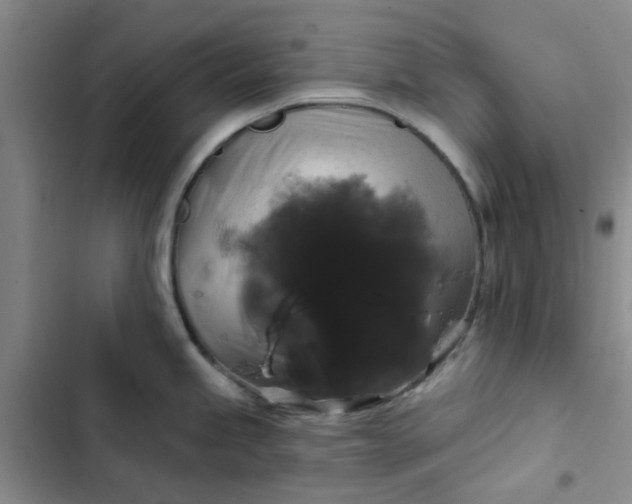 X0000102491245200808221723