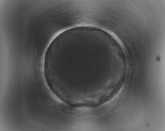 X0000102491246200808221723