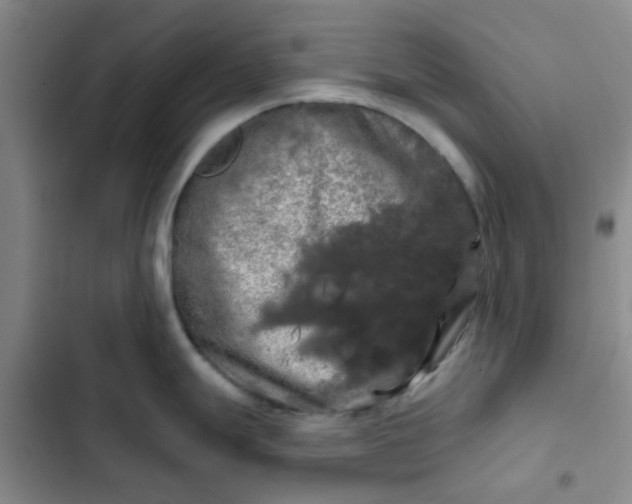 X0000102491247200808221723