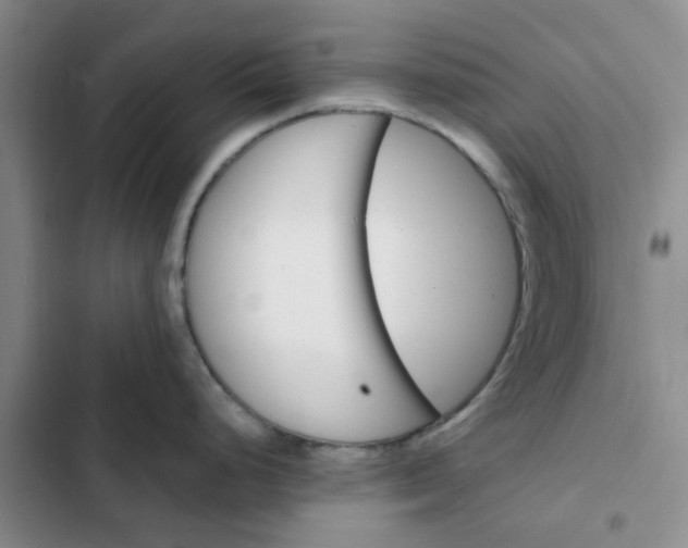 X0000102491248200808221723