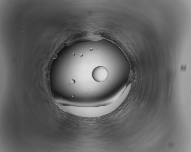 X0000102491249200808221722