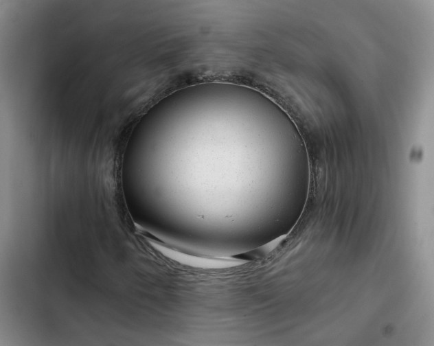 X0000102491250200808221722