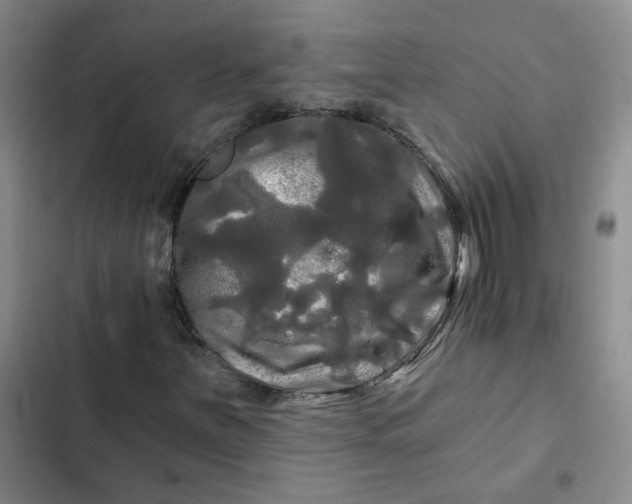 X0000102491251200808221722