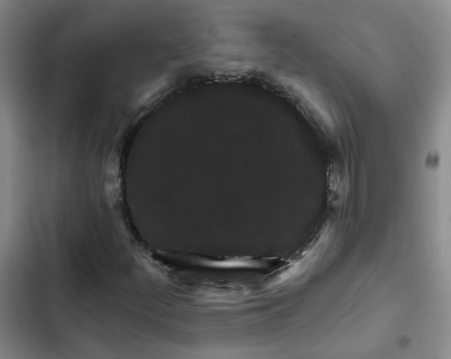 X0000102491252200808221722