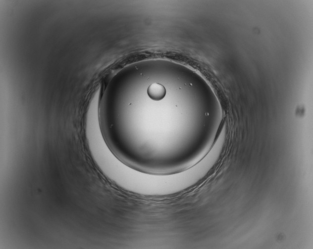 X0000102491253200808221722