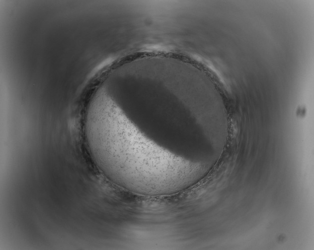 X0000102491254200808221722