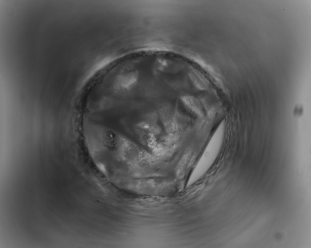 X0000102491255200808221722