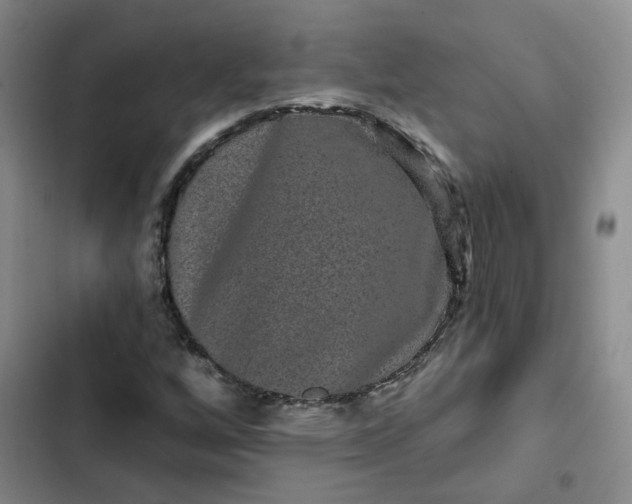 X0000102491256200808221722