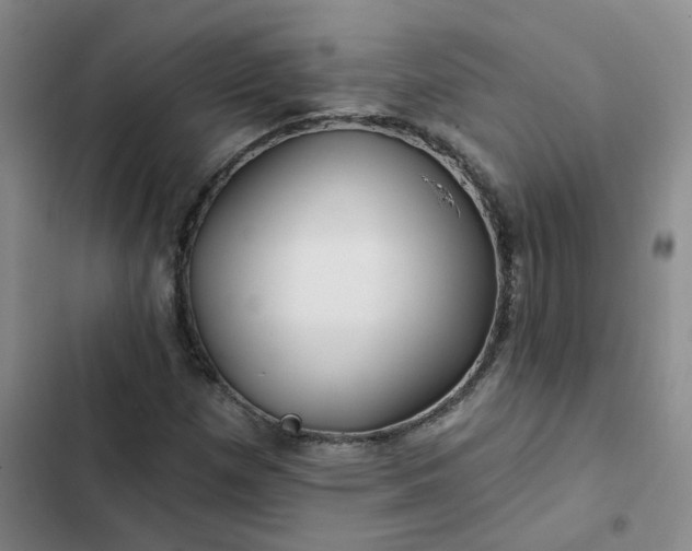 X0000102491257200808221722